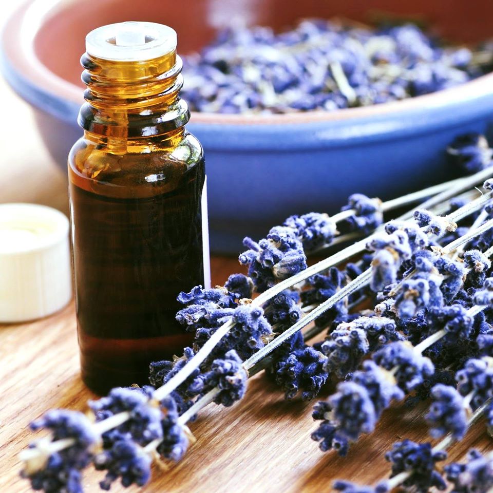 french true lavender oil