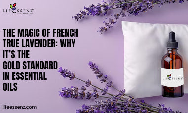 The Magic of French True Lavender: Why It’s the Gold Standard in Essential Oils